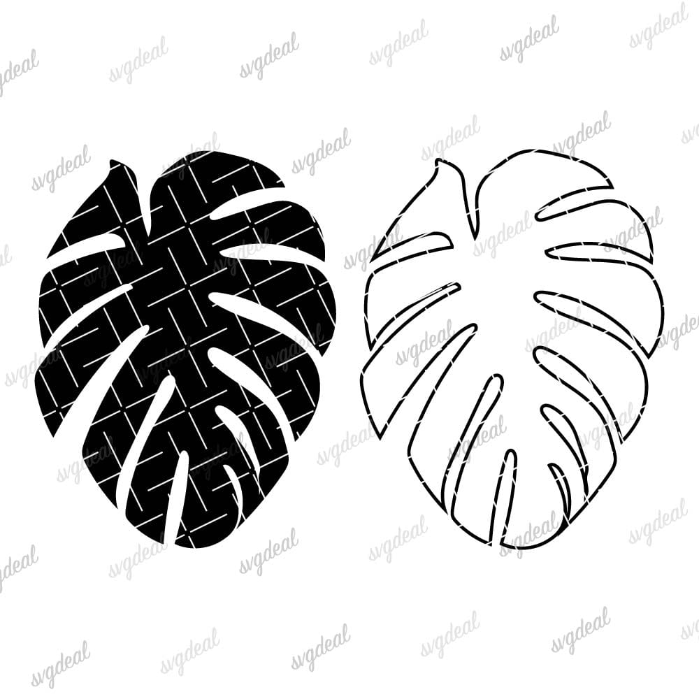 Monstera Leaf Svg