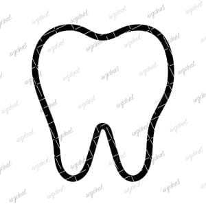 Tooth Outline Svg