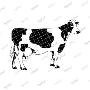 Cattle Svg