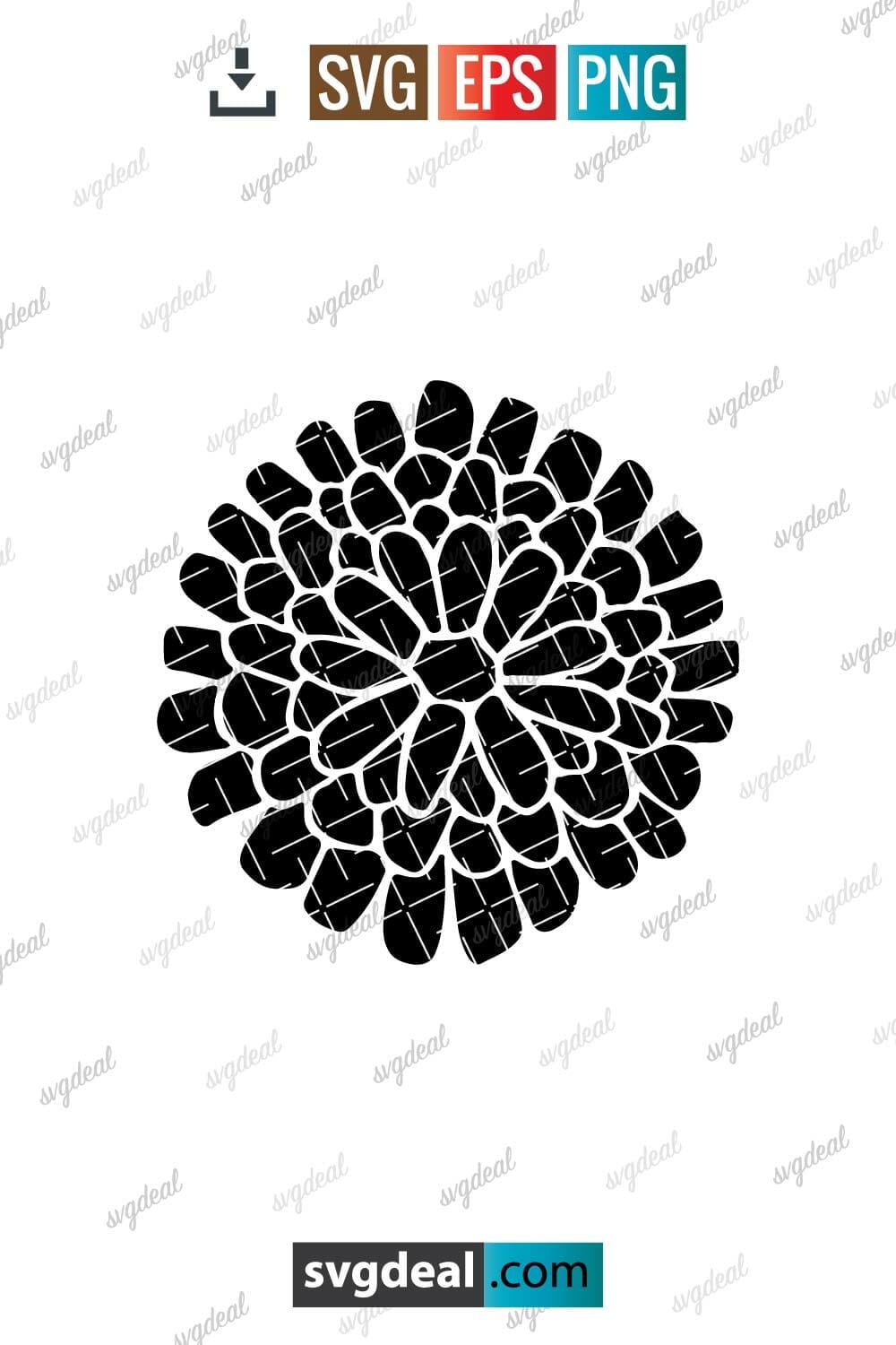 Chrysanthemum Svg