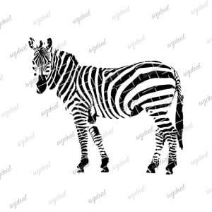 Zebra Svg