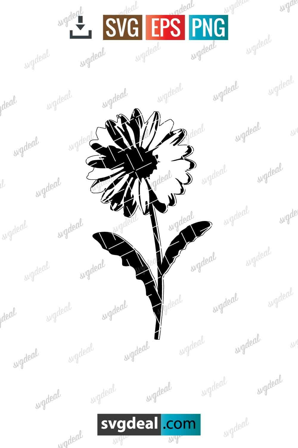 Free Daisy With Stem Svg - SVGDeal.com