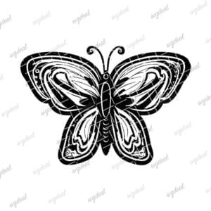 Butterfly Outline Svg